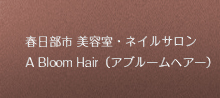春日部市の美容室・美容院・ヘアサロン　 A Bloom Hair（アブルームヘアー）